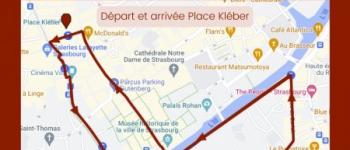 Première marche lesbienne à Strasbourg le 29 avril 2023