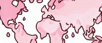 Qu'est-ce que le PinkWashing ?