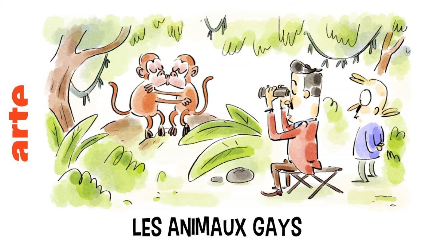 Animaux Gays : l'homosexualité dans la nature avec le professeur Moustache - ARTE