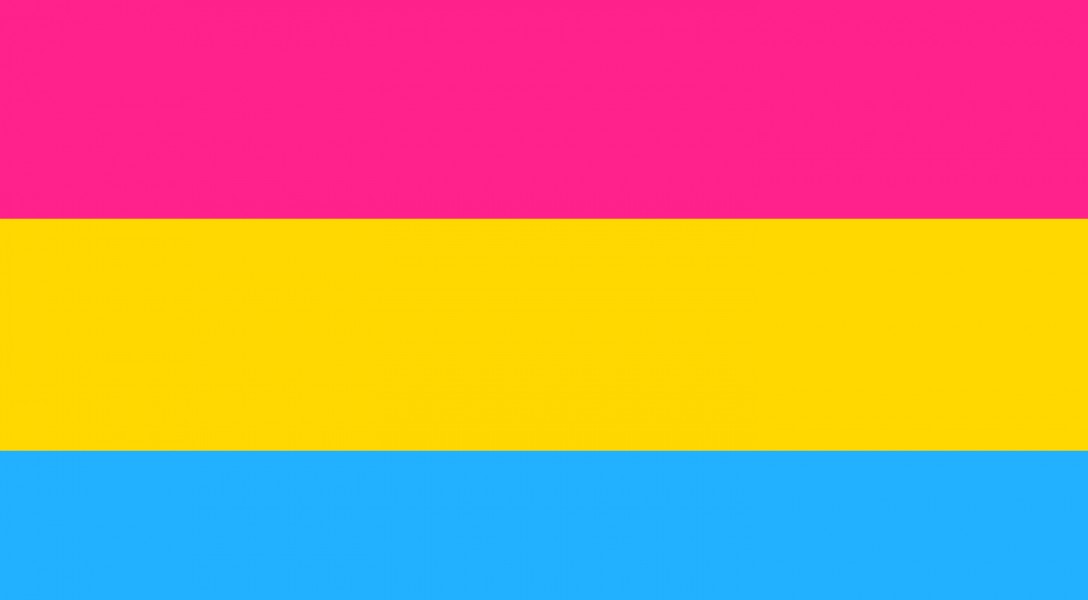 drapeau de la bisexualité