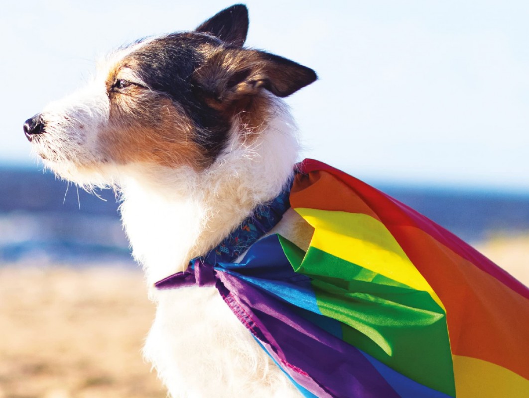 Les animaux peuvent-ils être Queer ?