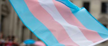 Transidentité : vers une simplification du changement de genre à l'état civil ?